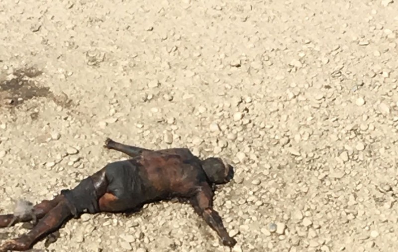 Cadavrul unui bărbat, adus la mal de apele râului Prahova, la Ologeni. Trupul pare să fi stat mai multă vreme în apă | Imagini șocante