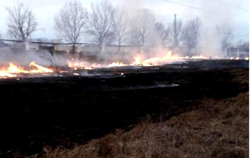 Bărbat din Tulcea ars pe faţă şi pe mâini, după ce a încercat să stingă un incendiu de vegetație