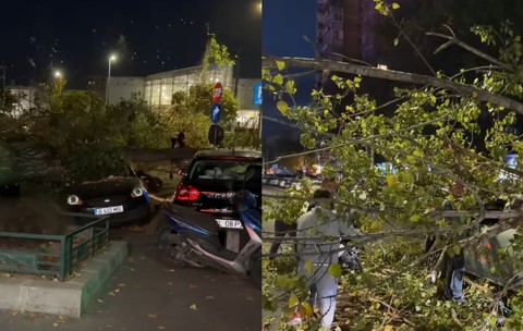 VIDEO Momentul în care un copac se prăbușește peste mai multe mașini, în București. Un livrator a fost vătămat