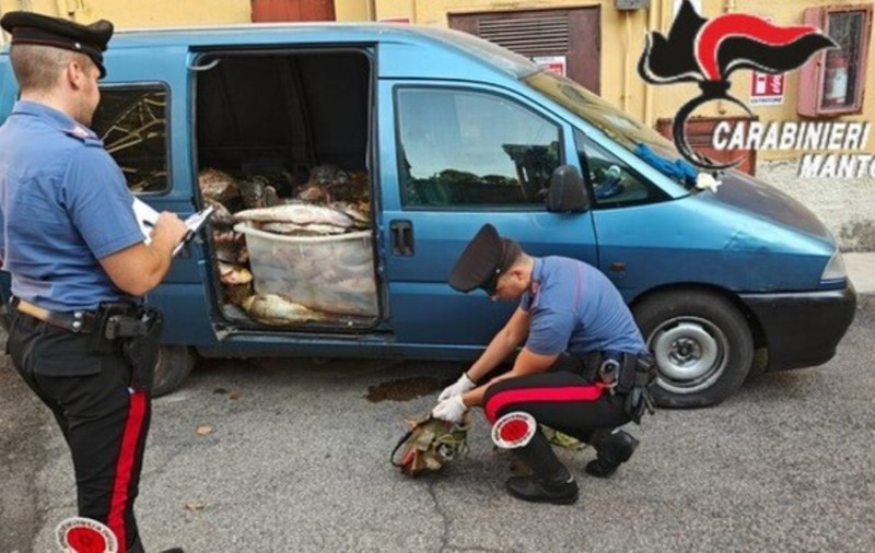 Șase români s-au dus la pescuit cu pistolul electric și poliția i-a prins cu duba plină cu somni, în Italia