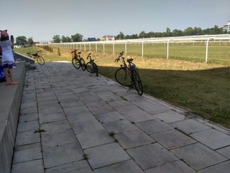 Arhiva foto
