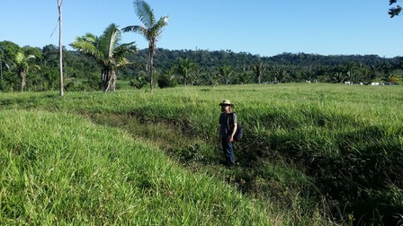 Civilizație dispărută descoperită în Amazon