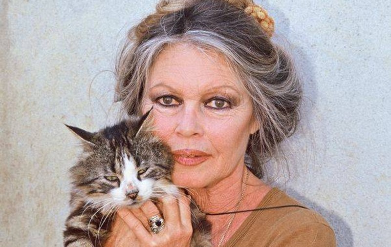 Brigitte Bardot, fericită că şi-a găsit pisica pierdută. Află ce recompensă pusese la bătaie!
