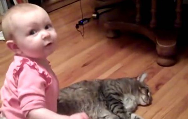 Un bebe şi pisica lui AU ÎNDUIOŞAT internetul! Uite ce îndură mâţa, de dragul copilașului | VIDEO
