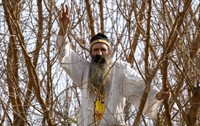 Protestatarul Cezar Avrămuță, cunoscut ca “Stegarul Dac”, într-un copac din curtea Arestului Central al Capitalei. Fotografie de arhivă: Hepta