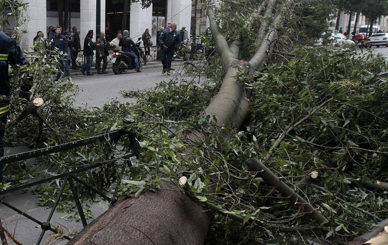 Caz şocant în judeţul Harghita. A murit după ce a fost lovit în cap de copacul pe care îl tăia