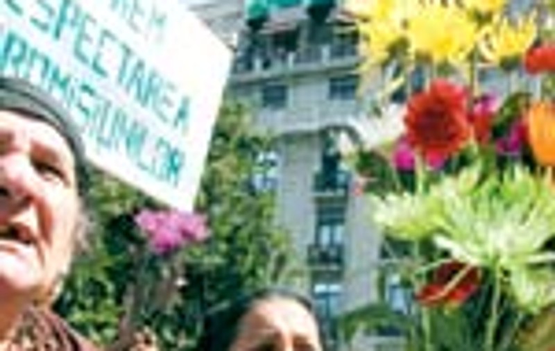 Protestul florareselor