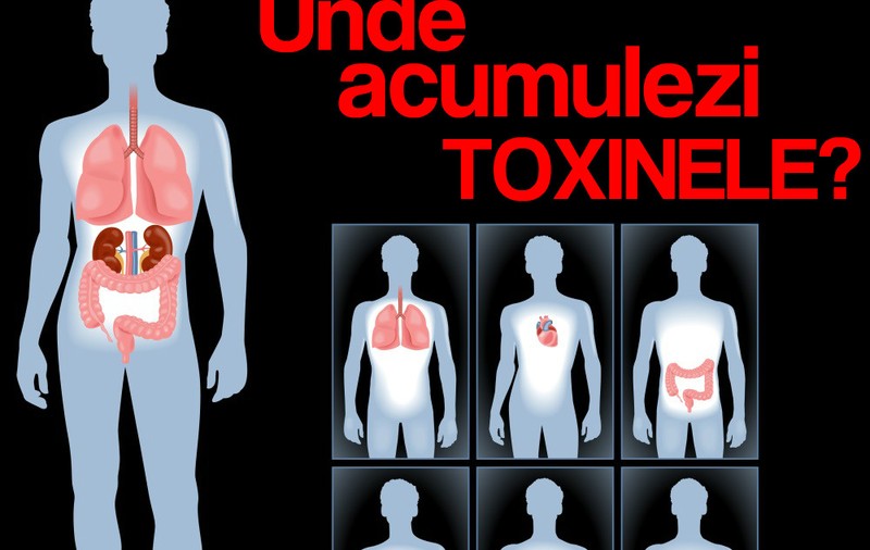 Cum ştii ce organ are nevoie de detoxifiere