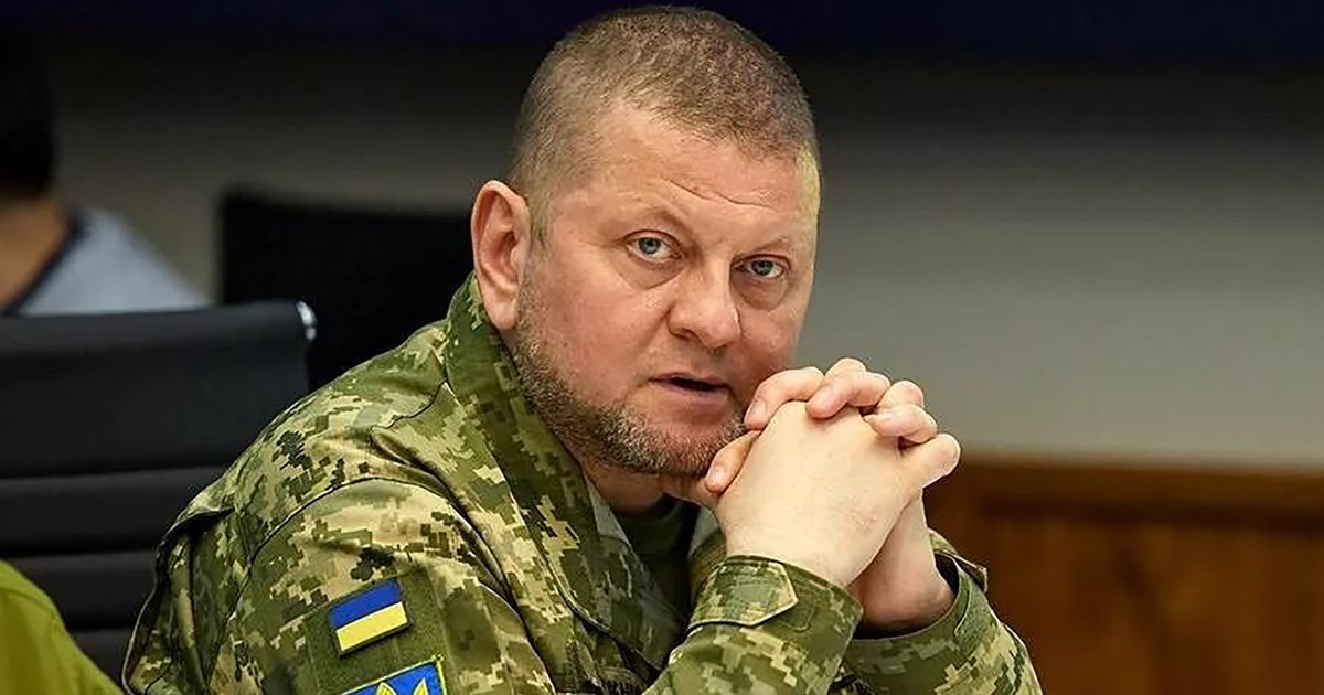 Generalul Valeri Zalujnîi Foto: Profimedia