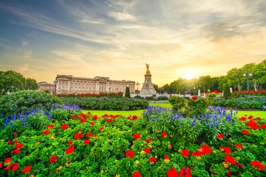 Grădinile de la Palatul Buckingham