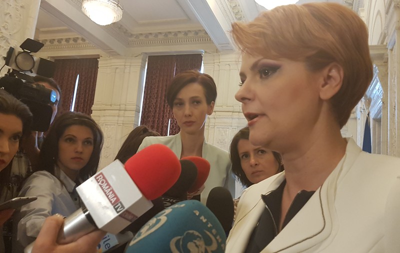 Ministrul Muncii, Lia Olguța Vasilescu, despre mitingul din Piața Victoriei: „Eu nu cred că acolo este diaspora”