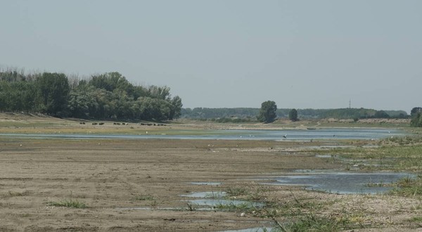 Niveluri scăzute ale apei pe fluviul Dunăre la Coslogeni, județul Călărași, România, pe 15 august 2026. Poză cu caracter ilustrativ. Foto: Getty Images