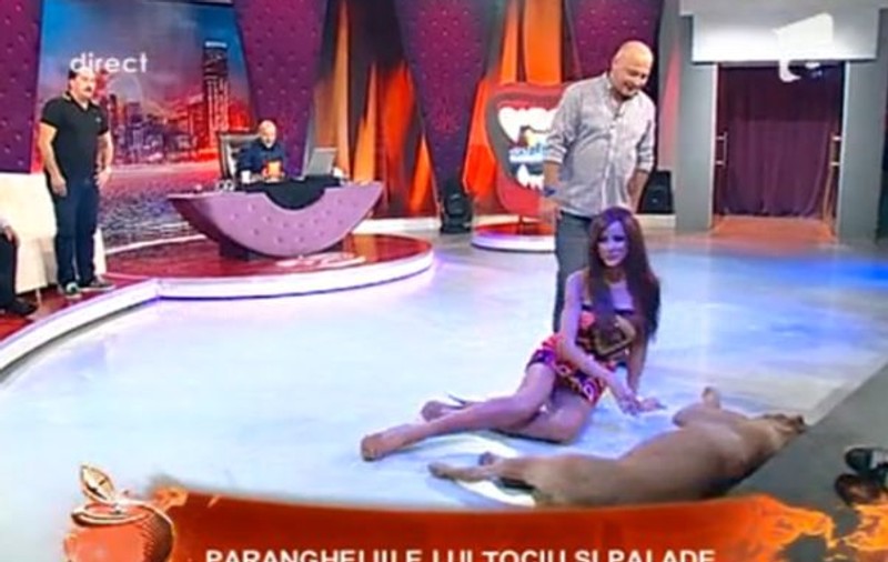 Video | Bianca Drăgușanu, în tandrețuri cu un dulău: "Mamă, ce limbă mi-a tras!"