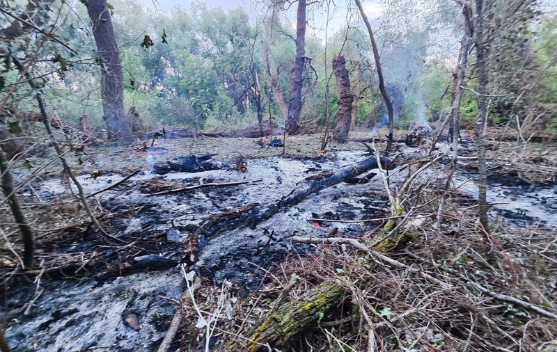 Imagini din locul unde au fost găsite, joi, resturile de dronă rusească pe teritoriul României: copaci carbonizați și cratere