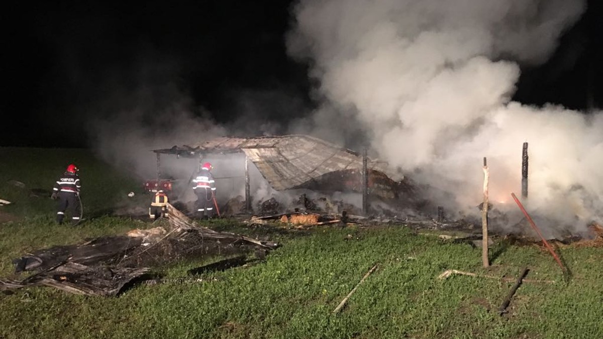 Zeci de capre au murit pârjolite într-un incendiu puternic în Vaslui