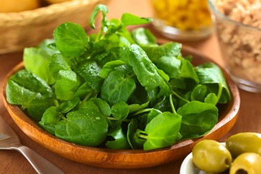 Salată de untișor