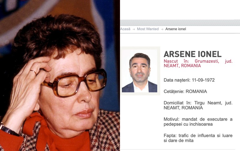 Pe vremuri pleca în exil scriitoarea Monica Lovinescu, acum fuge din țară baronul Ionel Arsene