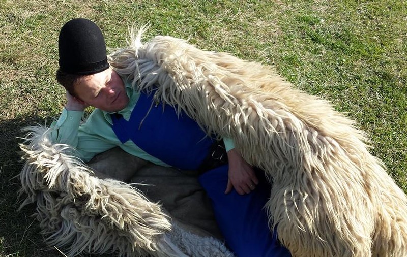 I S-A URCAT LA CLOP! Uite CE VREA Ciobanul Ghiţă