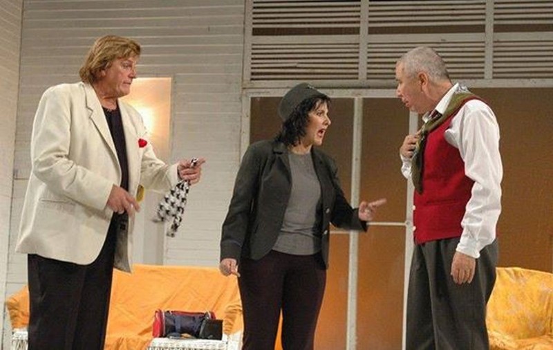 DRAMĂ în TEATRUL ROMÂNESC! ACTRIŢA VASILICA STAMATIN a MURIT la doar 49 de ANI!