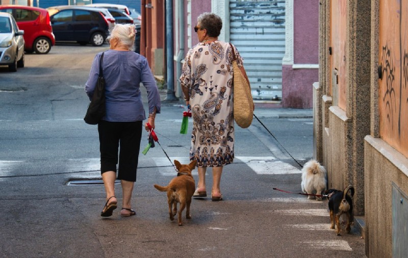 Fotografia a două femei care își plimbă câinii în Cagliari. Cagliari, Sardinia, Italia, 6 iunie 2025.