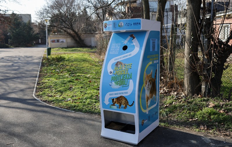 Donezi o sticlă de plastic și hrănești gratuit pisicile din parcul Tineretului din București. A fost montat primul dispozitiv inteligent pentru animăluțe