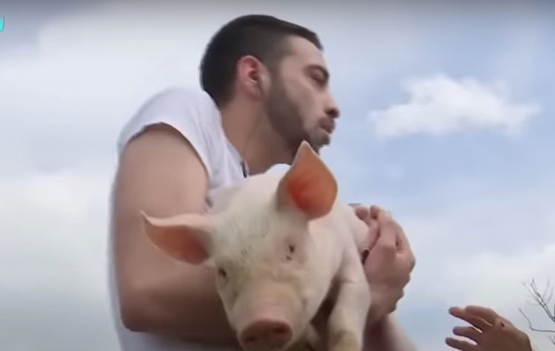 David Pușcaș a dat probe de angajare la o fermă. Când a văzut purceii, a început să urle: „Am crezut că mă mușcă de picioare”