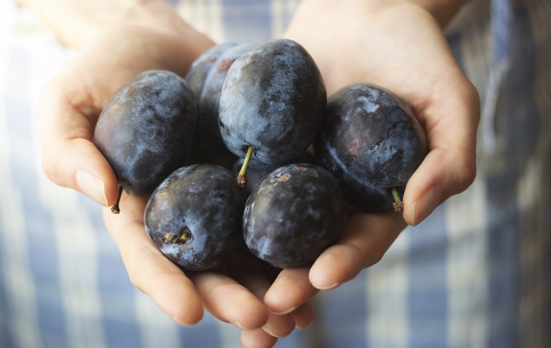 Consumă fructe şi legume de sezon dacă vrei să fii sănătos! Află ce beneficii au fiecare