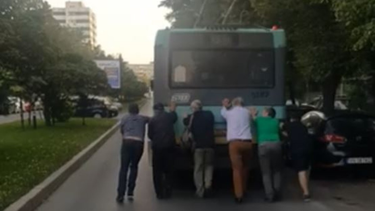 Arhiva foto