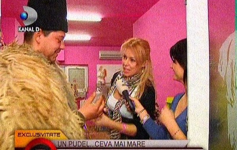 Jasmine, luată cu asalt de un cioban și berbecul lui, la salonul de înfrumusețare