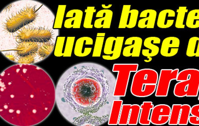 Iată bacteriile ucigaşe de la Terapie Intensivă!