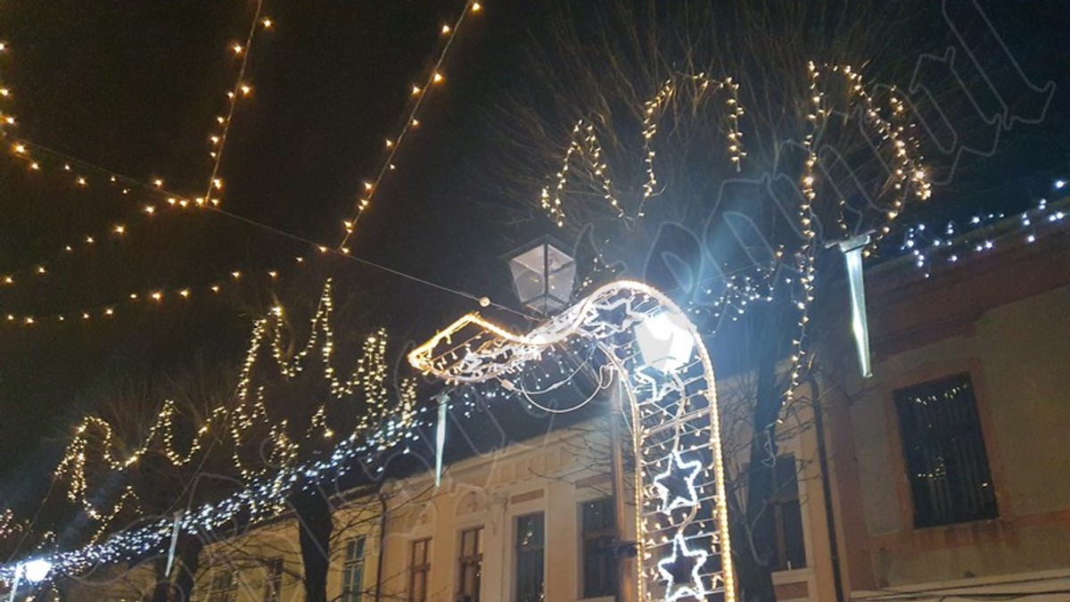 Arhiva foto