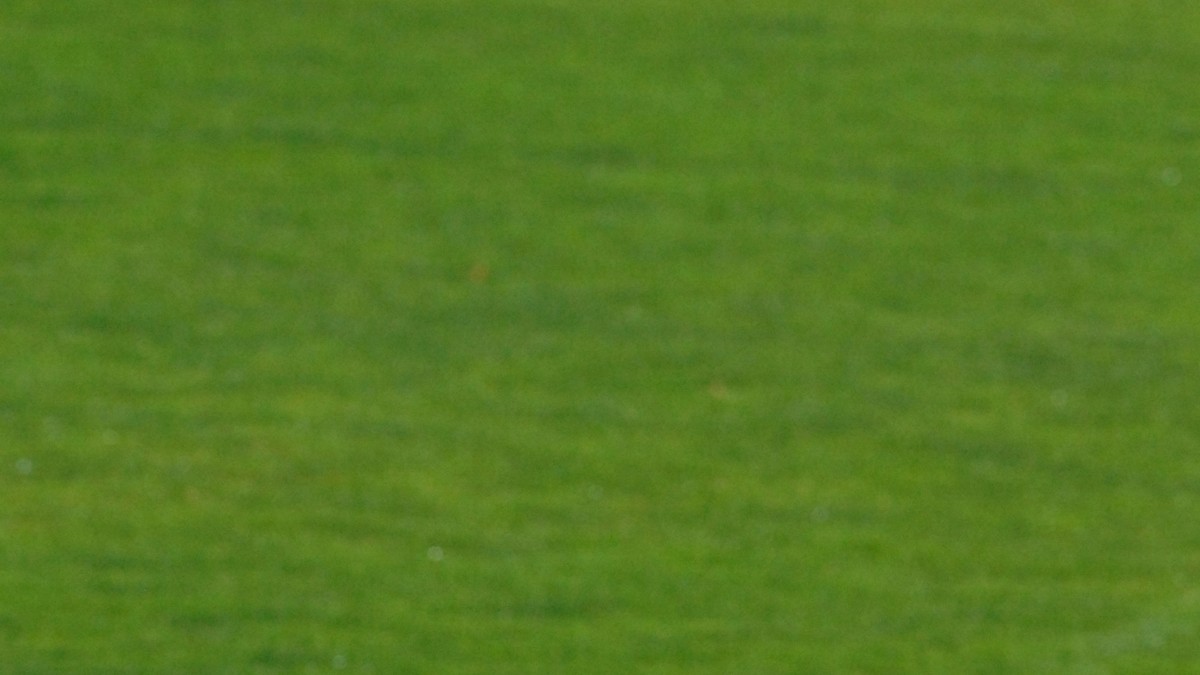 Favoritele lui Ladislau Bölöni pentru finala Campionatului Mondial de fotbal 2018