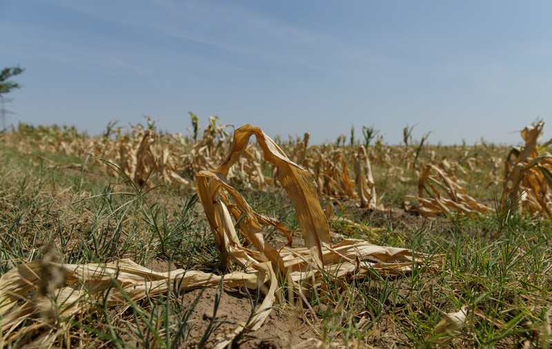 „Căldură mare, monșer!”. Ce pași a făcut România, în aproape două decenii, pentru a se adapta la schimbările climatice