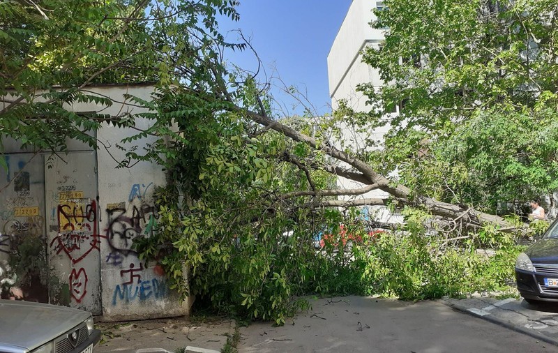 O femeie a fost rănită de un copac rupt de vântul puternic, în sectorul 4