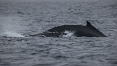 FotoJet - 2025-01-03T163129.233