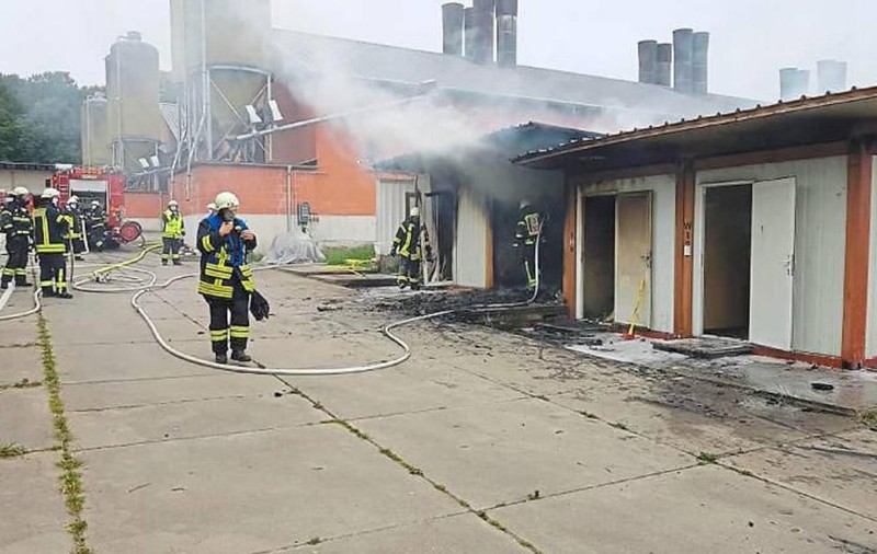 Muncitori români în Germania, cazați în containere pentru găini. Situația, descoperită în urma unui incendiu