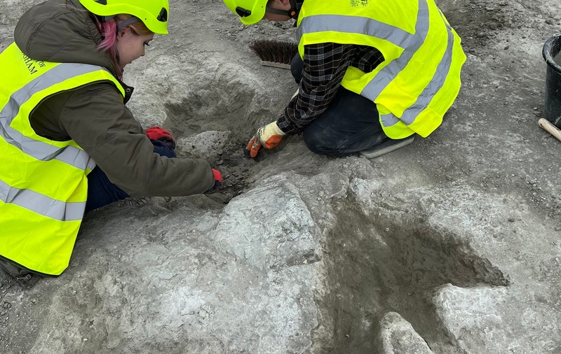 Peste 200 de urme de dinozauri de 166 milioane de ani, descoperite în Anglia. De ce importanța lor este una majoră I VIDEO