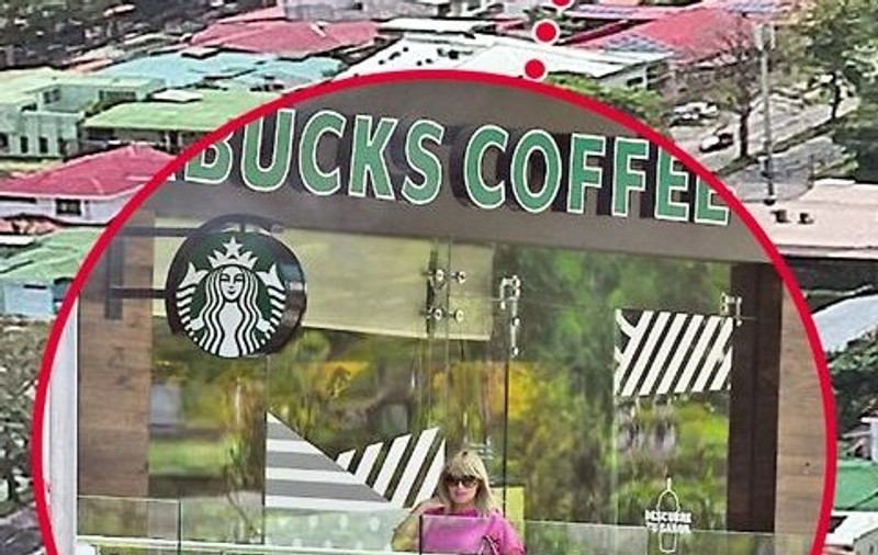 Ștucan: „Elena Udrea a fost reținută exact în față la Starbucks, locul ei preferat din San Jose”