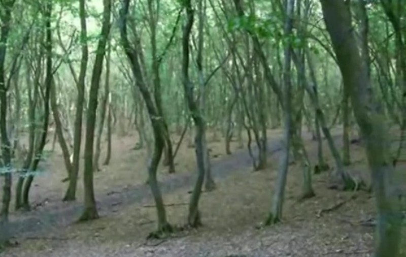 Video | OZN-uri şi îngeri, lângă Cluj Napoca!