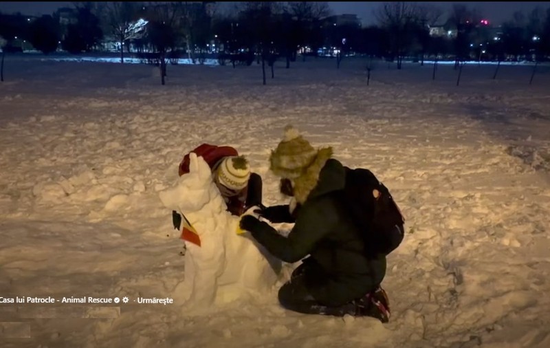 Un înger câine de zăpadă, Heidi, la protestul din fața Parlamentului. Moartea miilor de câini din adăpostul Suraia a scos oamenii în stradă