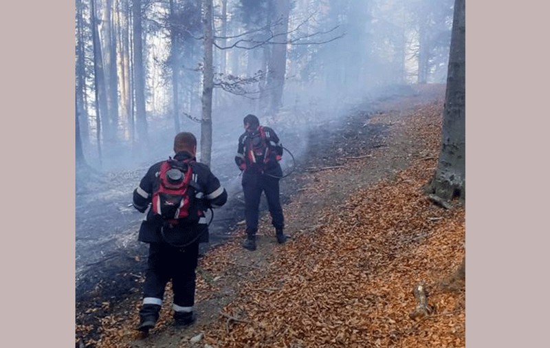 Pompierii cară apa cu rucsacurile pentru a stinge un incendiu care a afectat 50 de hectare de pășune și pădure din județul Neamț