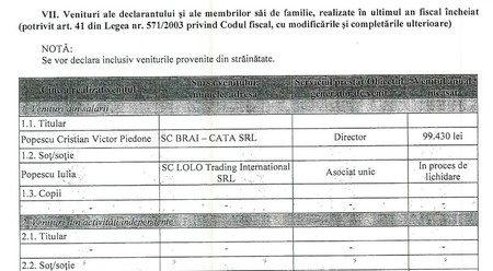 Funcția de director ocupată de Piedone la Brai-Cata e trecută în declarația de avere, la fel remunerația aferentă postului