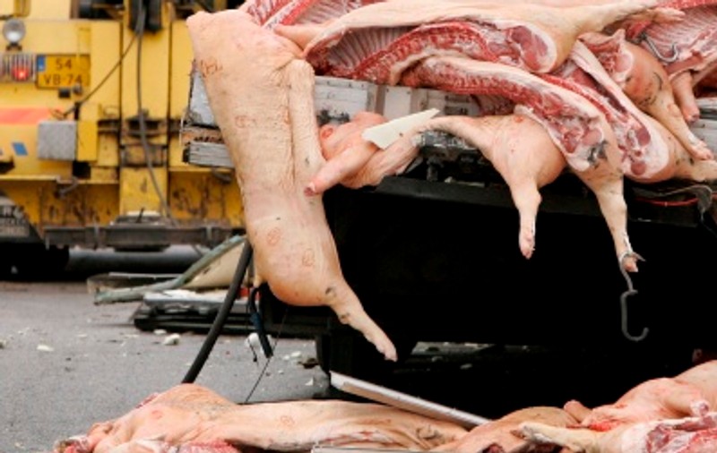 Plătea cocaina cu carne de porc