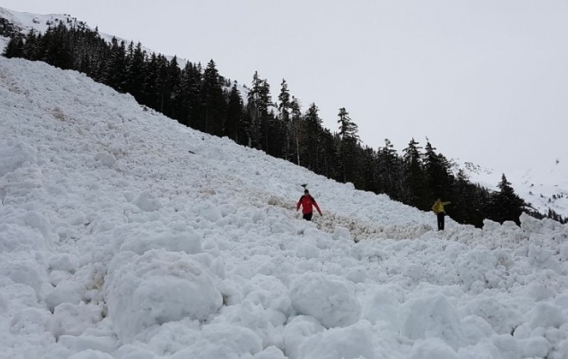 Avalanşă pe Transfăgărăşan, sâmbătă dimineața. Drumul e blocat, între Cabana Capra și Conacul Ursului