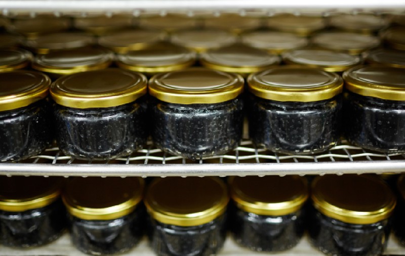 O moldoveancă a vrut să transporte 8 kilograme de caviar în valiză, cadou pentru rude de Paște. Vameșii de pe aeroportul din Berlin n-au fost de acord
