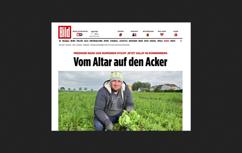 Cine e predicatorul român care a lăsat biserica pentru a culege salată în Germania: “Dumnezeu îmi dă putere. Câștig cât în tot anul în țară!”