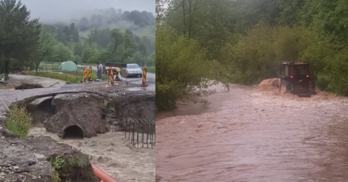 Ape murdare pe străzile din Covasna