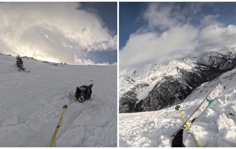Momentul în care o schioare și câinele ei sunt prinși într-o avalanșă în Pirineii din Andorra