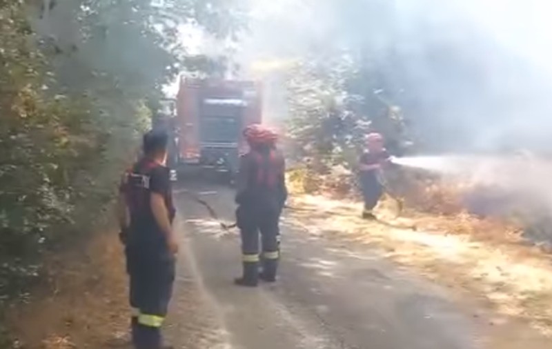 Prima misiune a pompierilor români trimiși să ajute Franța în lupta cu incendiile. Unde au intervenit