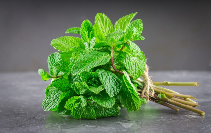 Mentă - beneficii și proprietăți. De ce este recomandat să consumi izmă bună